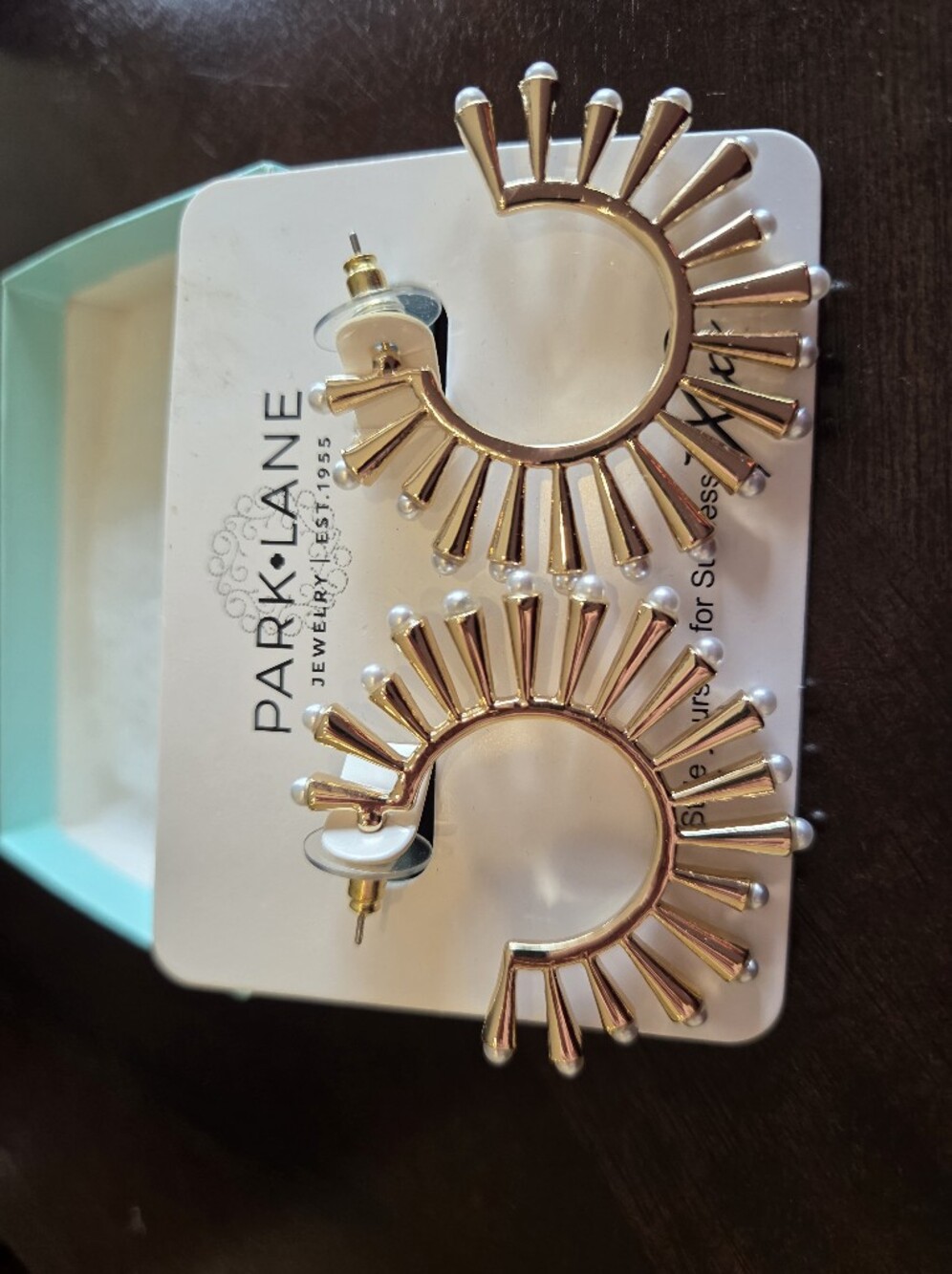 Park Lane Gold Radiant Spike Hoop Earrings Sparkle Box Exclusive